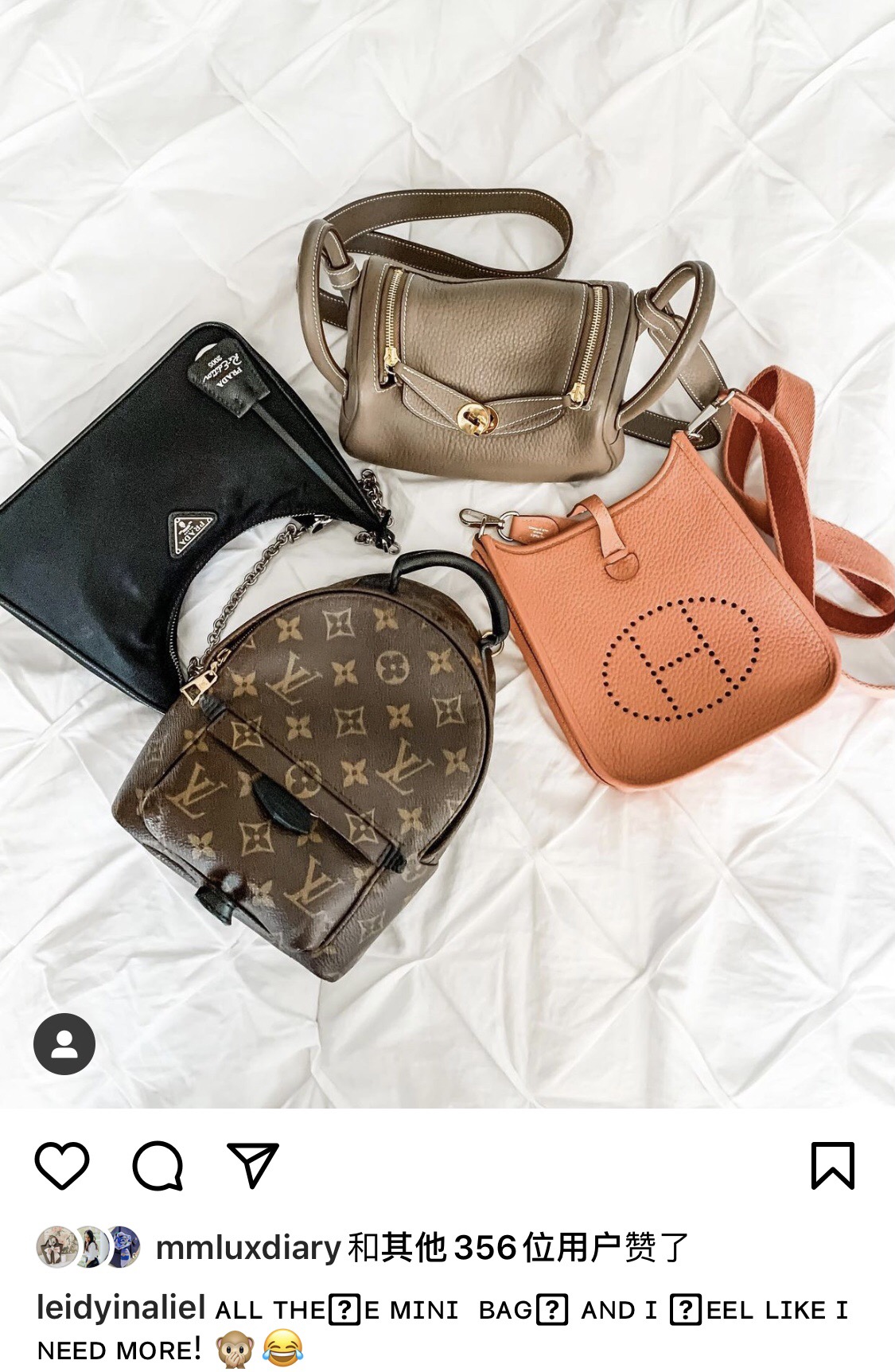 Hermes Evelyn Bags